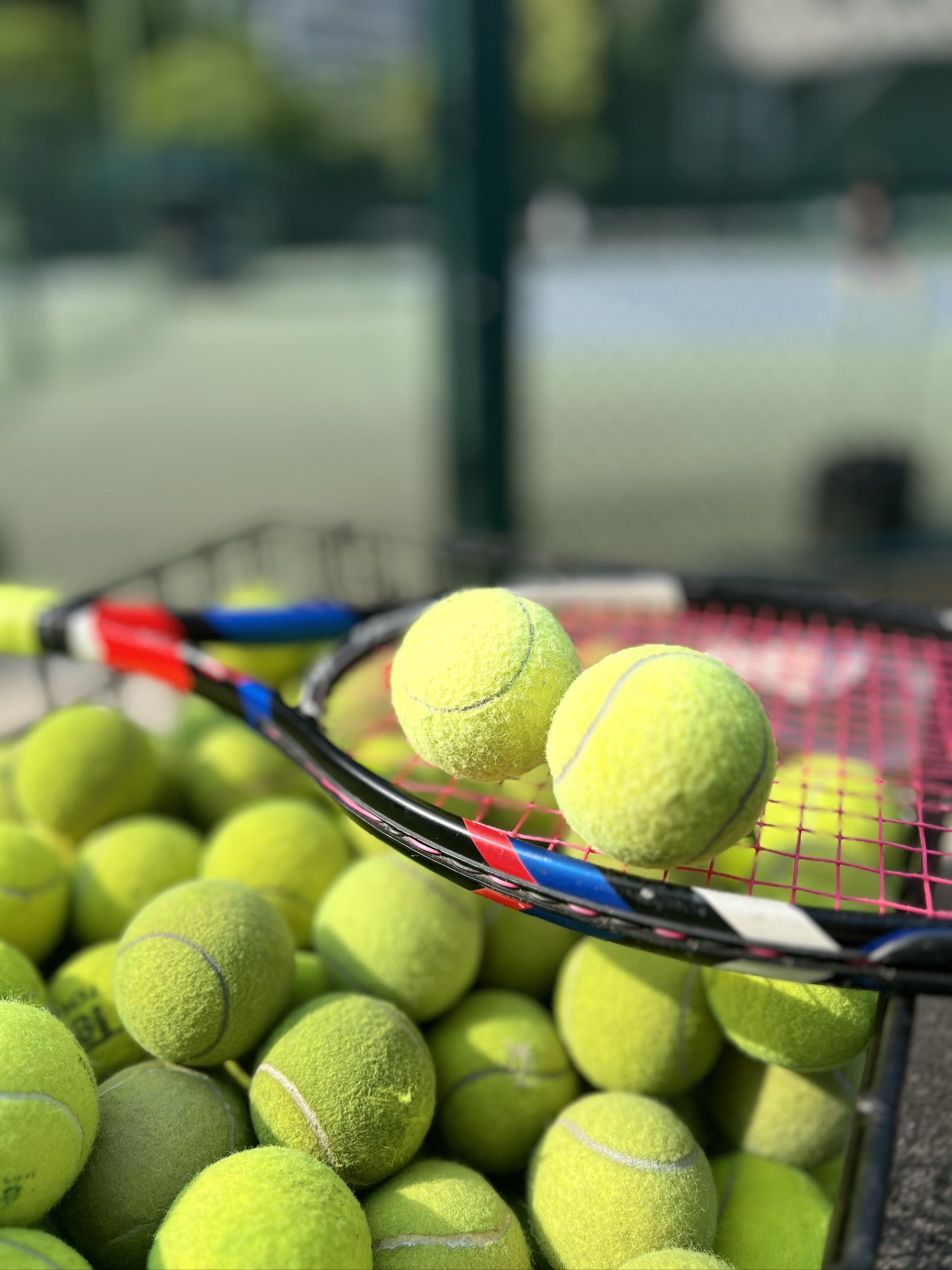 也是他与巴 也是他与巴