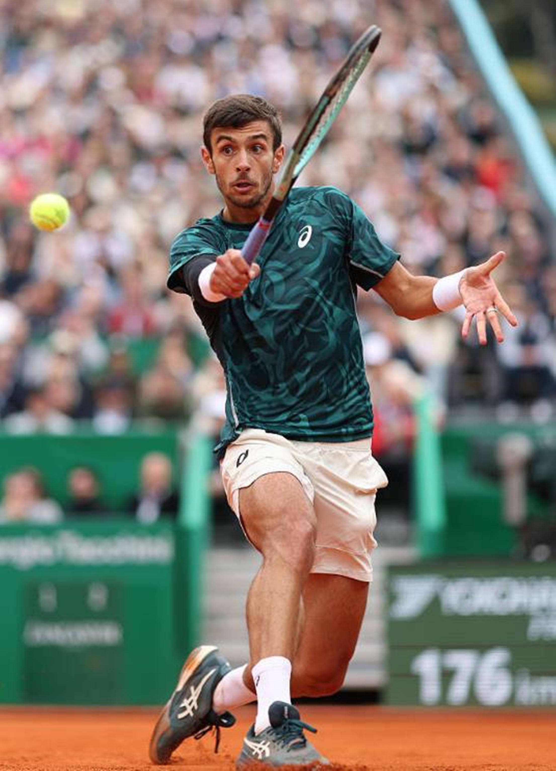 临过类似的 临过类似的