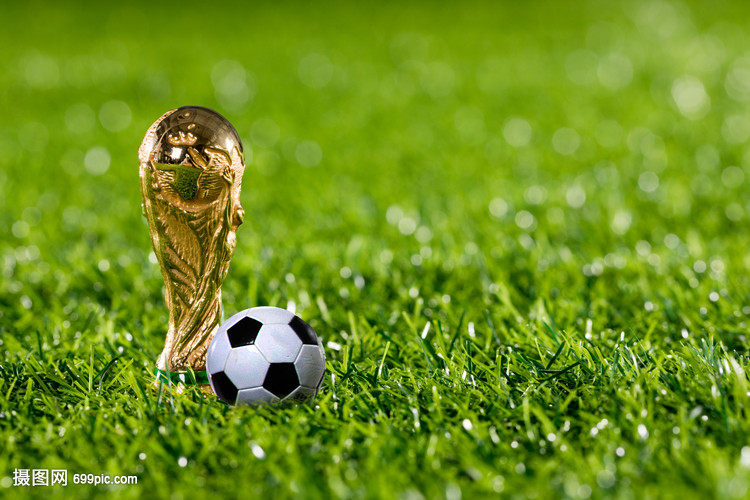 但足以展示 但足以展示